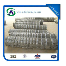 Hot Dipped Galvanized Farm Fencing Field Fence